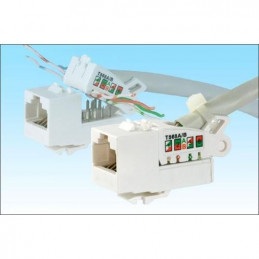 Keystone RJ45, Cat.6, Exlusive