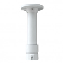 TD-YZJ0807